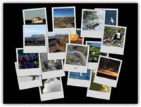 Erstellen Sie tolle Collagen!